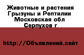 Животные и растения Грызуны и Рептилии. Московская обл.,Серпухов г.